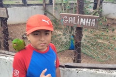 WhatsApp-Image-2024-12-02-at-15.35.08-2