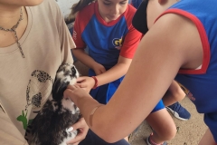 WhatsApp-Image-2024-12-02-at-15.35.08-3