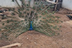 WhatsApp-Image-2024-12-02-at-15.35.08