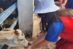 WhatsApp-Image-2024-12-02-at-15.35.09-1