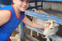 WhatsApp-Image-2024-12-02-at-15.35.09-2