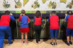 WhatsApp-Image-2025-05-09-at-07.22.10