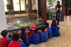 WhatsApp-Image-2025-05-09-at-07.22.18-1