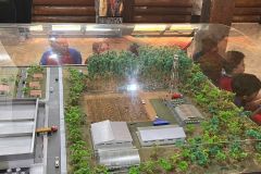 WhatsApp-Image-2025-05-09-at-07.22.18