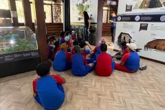 WhatsApp-Image-2025-05-09-at-07.27.22