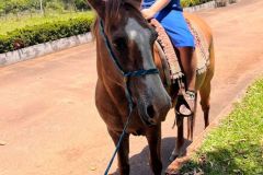 0a77e33d-74d0-430c-b1c5-6424e2f890e7