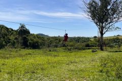 10a5ec91-5d4a-40a4-b324-b6616917153c