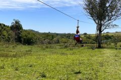 12d69dfb-0493-4366-a3ab-06ca093e38fd