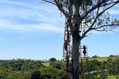 19995740-4353-41c5-b08a-d557cc31bf04