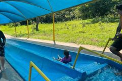 1a0ad21d-b67f-4d41-953b-157b429c4a7b