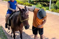 1c11a499-90d6-4417-9c9b-d790a2deaafd