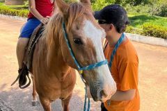 1c761b39-3358-431a-8e4a-156b14305651