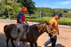 1fa9e653-a85c-4db8-8222-2481e353c3df