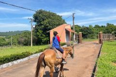 23303a15-836a-4371-b4ca-9eaf7b9f20fe