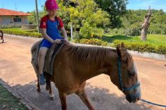 29a7eee2-6794-45e9-a560-e84b5313e01c