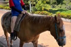 2c1c7c22-ce38-4ccc-a853-5f0be49fa658