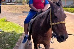 2e608f58-c2ce-41e3-8e42-c80242c12386