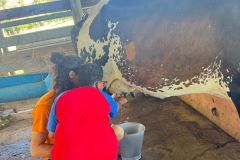 322f6d09-ed76-4325-bfce-f7f8c8f1c3c4