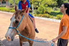 37ad79d9-c664-48c6-9934-32dca32b78c7