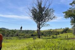 3ad0b6f8-ed8d-4ec8-b361-c36d315e6627