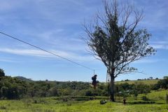 41e015cb-44cb-419b-8c83-00783245e4cc