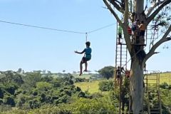 43ab9366-fa8e-4dc0-b89a-05c01613c248