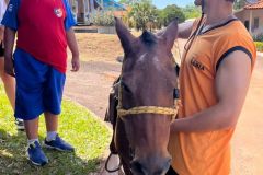 47a7f7aa-eb77-47db-b952-d67fc9c6330a