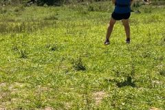 486d552f-33f2-4aca-9dc5-c84f86bd1873