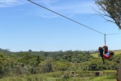 498c65cb-8798-4065-8408-4c067625ddce