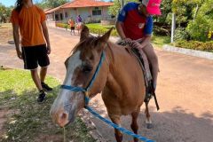 4995c7f0-9d14-4cee-b911-f4402f00b865