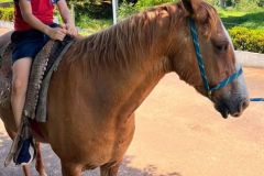 5660dcac-21e4-44ec-aed9-8dcfca7cf53e