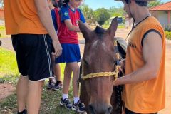 5ba0d598-9e69-40f7-9bac-3f08cac00e09