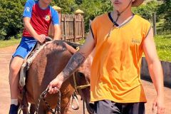 5e56d0ea-3fb6-48a6-b875-233f91a649cb