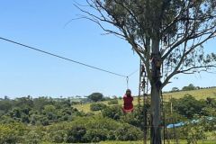 624a0869-604f-44a1-b335-d6b62ae22a81