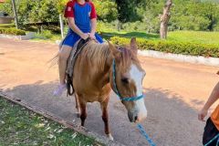 634e0d3d-7989-4857-aa7d-e3c41fc7195b