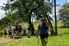 6a46553a-956c-483b-a88a-c611393be239