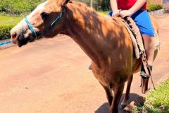 6d76a06f-1658-47ee-bb3f-923990434273