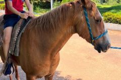 73227f17-c780-440d-bd6c-d25a1ef11c8a