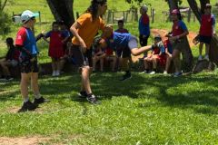 73e8e8fe-8d8f-4b42-a426-9392bf6a3d6b