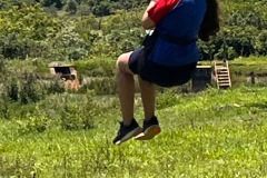 77c98d48-38bd-4034-8ef6-3405f1df2e22