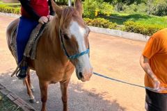 7bd7cb8a-e85e-4858-9dc5-1ae8abe83757