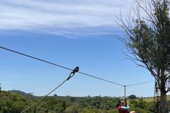 7c569341-2a1b-458e-934b-08678a05de84