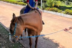 7cff2f7f-95fb-41d0-a05e-efee059501f0