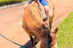 7fb90d4b-3681-4b07-80de-21075f5b474e