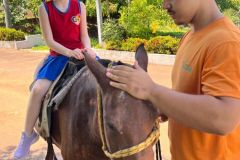 80dd527b-57c2-4c27-a169-e5e4c8d8f6ef