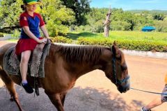 8391e89a-fe53-4b3a-b728-66febdaa5040