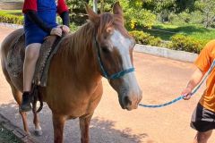 89fa830e-a912-48df-9fd5-45575aff5661