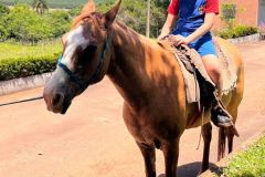 918b6d93-7689-4d2f-ae8a-0f20f94d5d5d