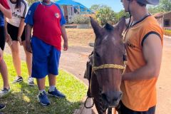 96107a0b-71e0-4374-a918-c92a77649e57