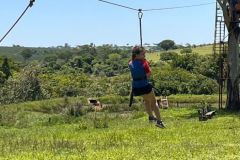 9a92ddef-9ba0-4ffa-88bc-27f39344f8cd